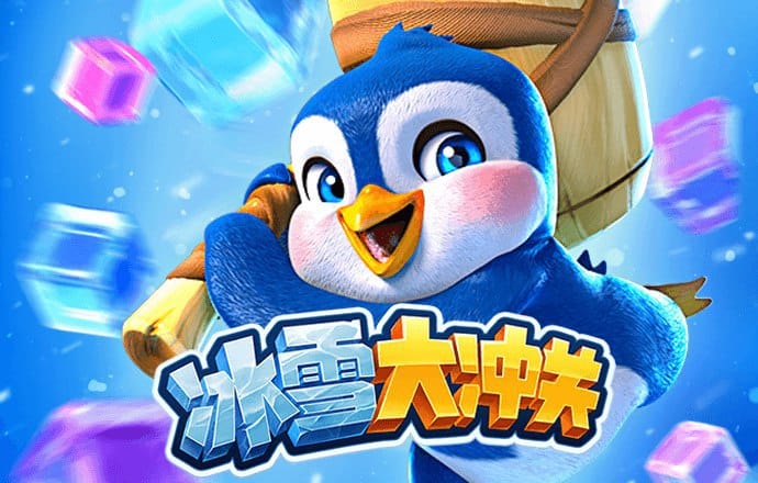 bob·体育综合